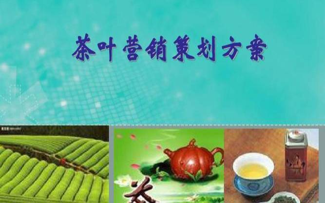 普洱茶网络营销策划方案,如何进行网络营销