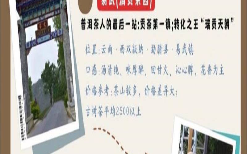 普洱贡茶的历史,普洱茶的起源与历史 普洱贡茶的历史,普洱茶的起源与历史