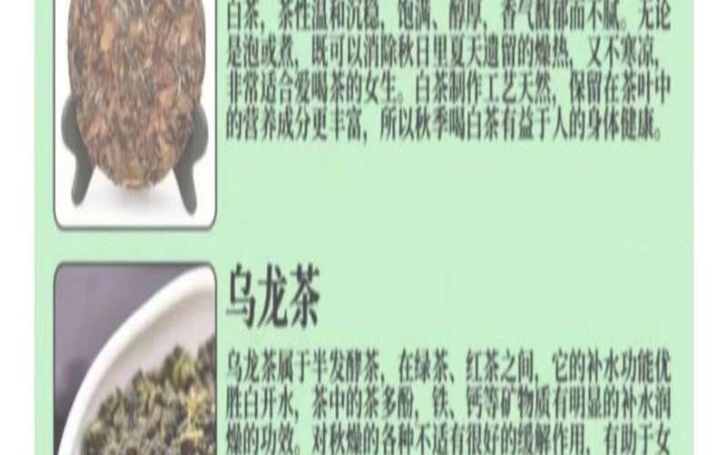 秋季喝什么茶叶(秋季喝什么茶叶最好)，秋季喝什么茶叶对身体好