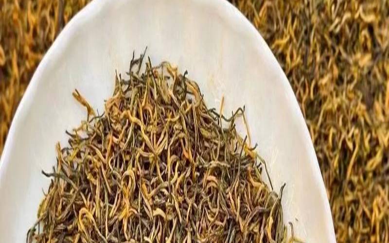 金骏眉茶叶适合什么人吃,女人喝金骏眉茶好不好 金骏眉茶叶适合什么人吃,女人喝金骏眉茶好不好