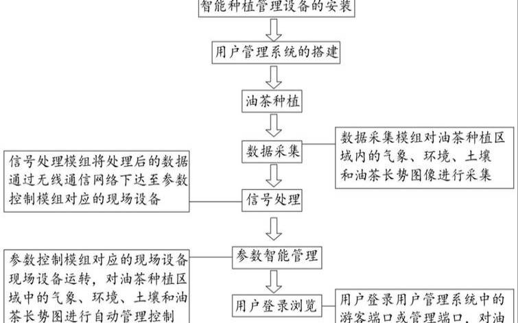 油茶种植计划书,油茶种植方法及管理技术