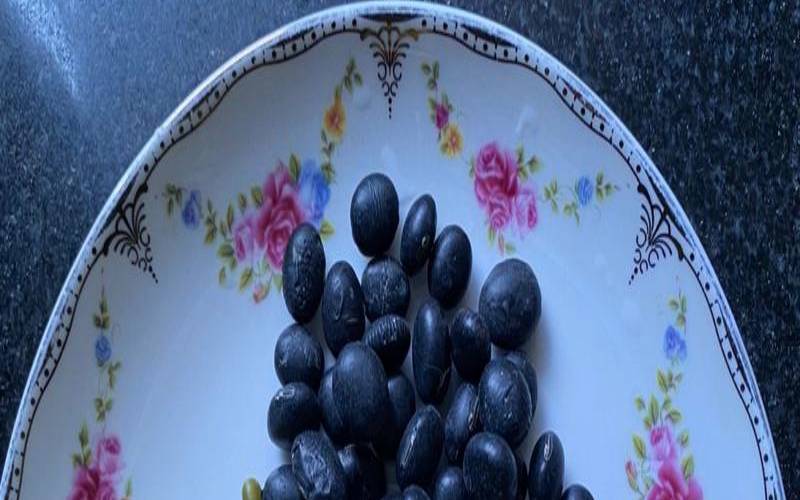 绿豆是上火的还是去火的,赤小豆上火还是降火 绿豆是上火的还是去火的,赤小豆上火还是降火