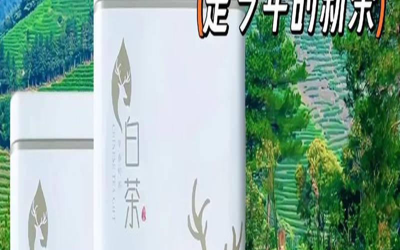 安吉白茶特级正宗新茶价格,白茶的鉴别方法