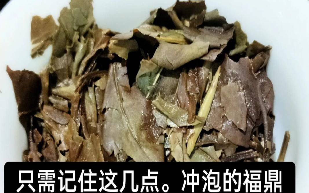 福鼎白茶和普洱熟茶哪个好,喝白茶好还是普洱好