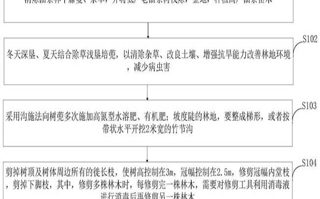 油茶低产改造是什么意思,油茶低改技术标准