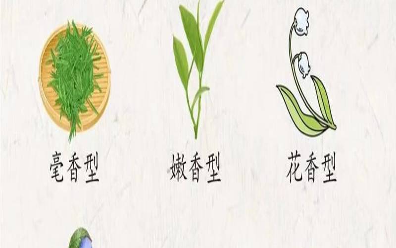 中国茶艺四大流派,八大茶系是哪八个