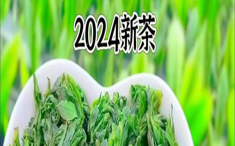 苦丁茶会过期吗,苦丁茶有有效期吗 苦丁茶会过期吗,苦丁茶有有效期吗