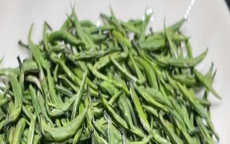 金坛雀舌是什么茶介绍,金坛雀舌是绿茶吗 金坛雀舌是什么茶介绍,金坛雀舌是绿茶吗