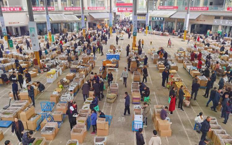 深圳批发茶叶的地方有哪些,广州茶叶批发市场怎么拿货