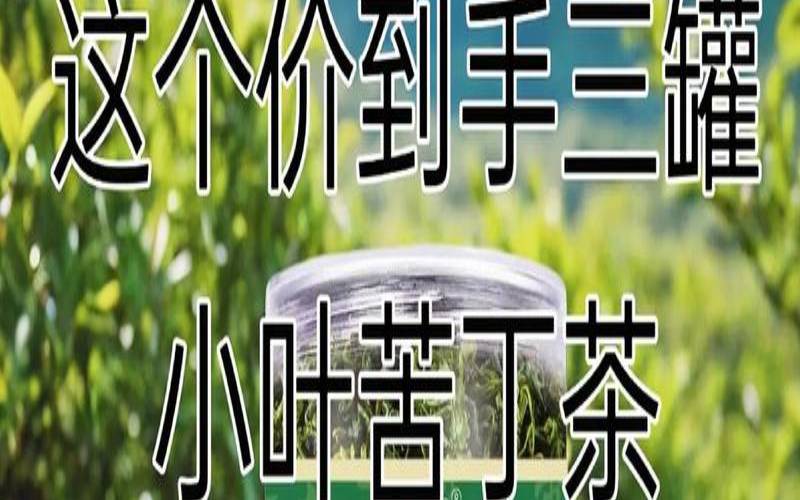 苦丁茶洗发防脱发吗,苦丁茶治白发 苦丁茶洗发防脱发吗,苦丁茶治白发