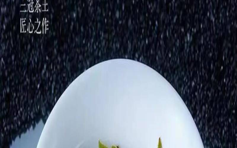 台湾高山茶的功效,茶嫂当家的铁观音怎么样 台湾高山茶的功效,茶嫂当家的铁观音怎么样