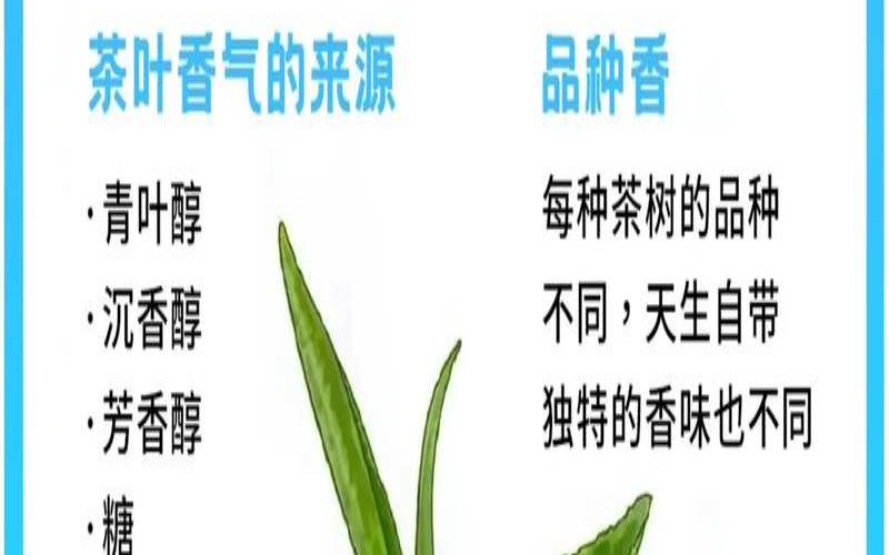 茶叶中的呈味物质主要是,茶叶的三大特性