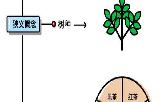 乌龙茶生产工艺流程图,乌龙茶的制作过程与方法 乌龙茶生产工艺流程图,乌龙茶的制作过程与方法