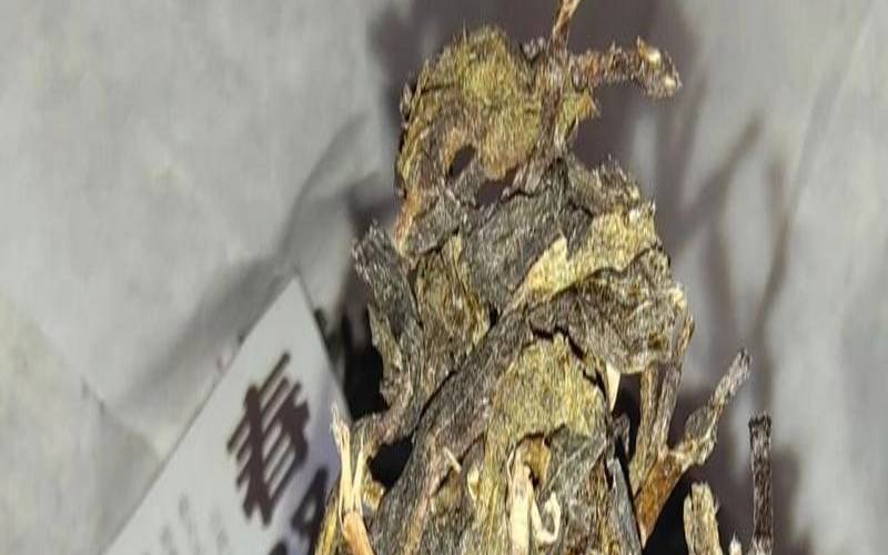 普洱茶有茶梗是好还是坏的,茶叶有梗是好茶吗 普洱茶有茶梗是好还是坏的,茶叶有梗是好茶吗