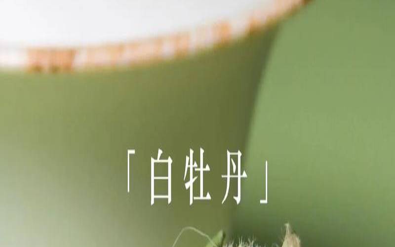 白牡丹是什么茶种,白牡丹什么茶