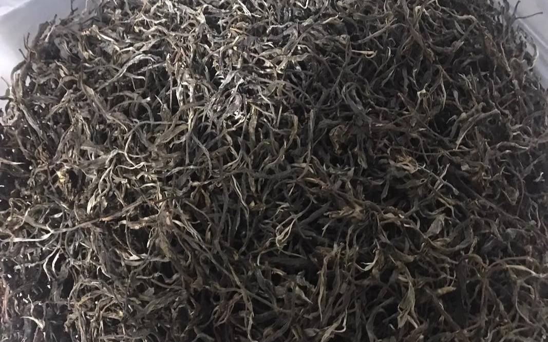 普洱晒青毛茶是生茶吗,古树晒青毛茶价格 普洱晒青毛茶是生茶吗,古树晒青毛茶价格