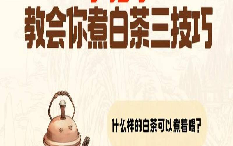 白茶可以直接泡着喝吗,白茶怎么煮着喝 白茶可以直接泡着喝吗,白茶怎么煮着喝