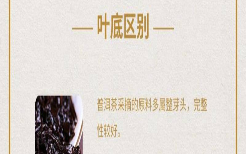 黑茶普洱熟茶怎么泡,黑茶和熟普洱茶的区别 黑茶普洱熟茶怎么泡,黑茶和熟普洱茶的区别