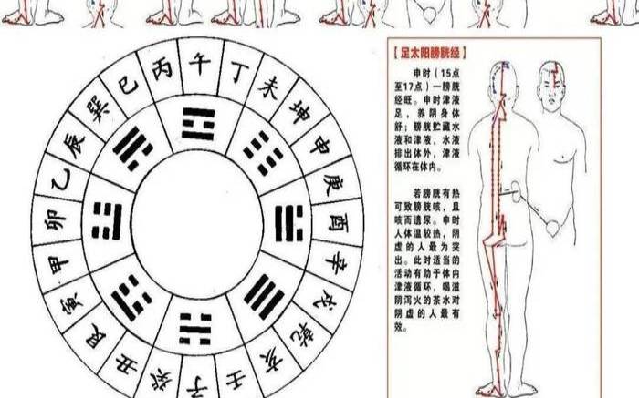 茶进入人体后是如何运化的,坚持喝茶半年后身体的变化 茶进入人体后是如何运化的,坚持喝茶半年后身体的变化