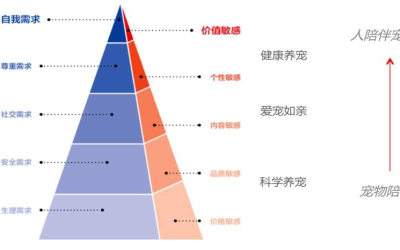 品类分化是什么意思,类化是什么意思举例 品类分化是什么意思,类化是什么意思举例