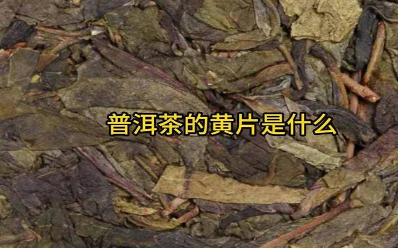 普洱茶黄片的功效与作用,老茶的味道和口感 普洱茶黄片的功效与作用,老茶的味道和口感