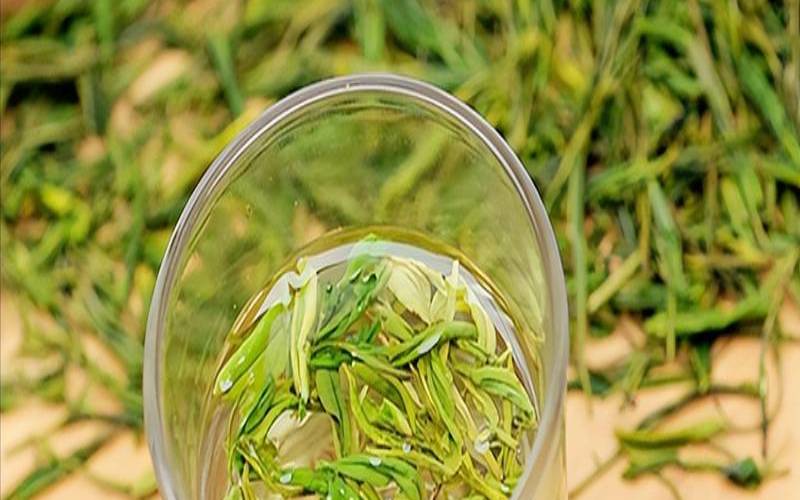 什么绿茶好喝又对身体好,什么绿茶比较好喝 什么绿茶好喝又对身体好,什么绿茶比较好喝