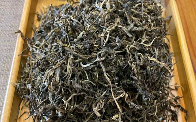 景迈人家普洱茶怎么样,景迈山千年古树普洱茶价格