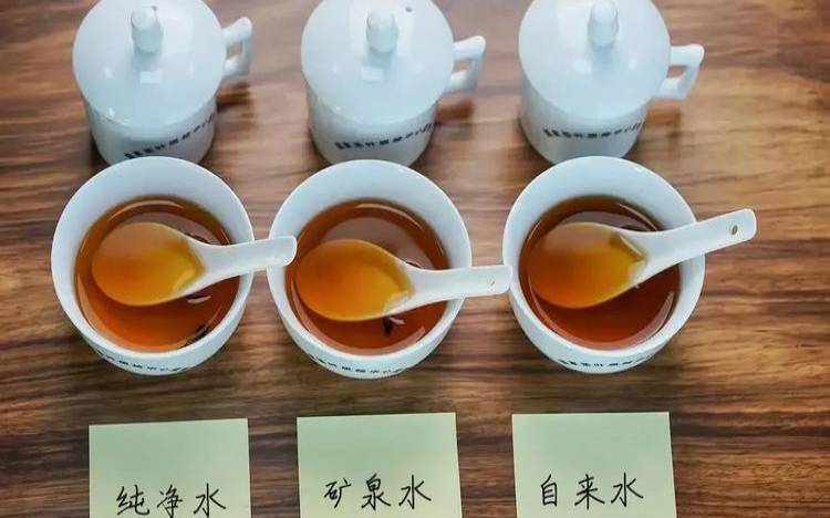 泡茶用纯净水还是饮用水,纯净水和矿泉水哪个泡茶好