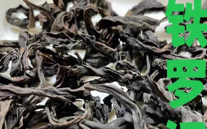 铁罗汉什么作用,铁罗汉的药用价值 铁罗汉什么作用,铁罗汉的药用价值