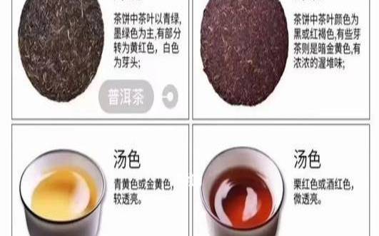 哪个年份的普洱不好,生普洱存放几年最好喝 哪个年份的普洱不好,生普洱存放几年最好喝