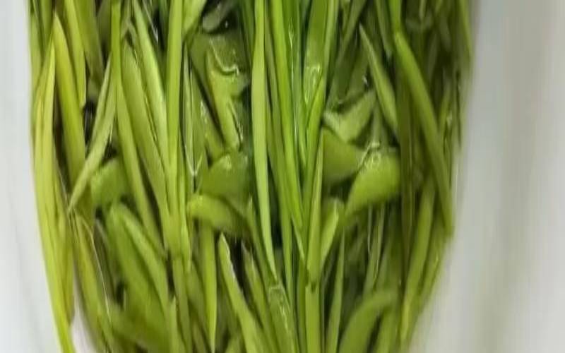 信阳毛尖怎么判断是否过期,信阳毛尖茶是什么颜色 信阳毛尖怎么判断是否过期,信阳毛尖茶是什么颜色