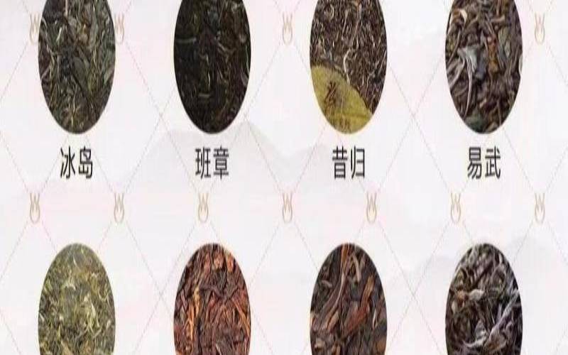 云南普洱茶知识讲解,云南茶叶种类 云南普洱茶知识讲解,云南茶叶种类
