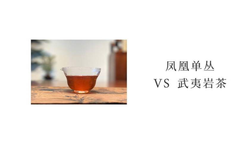 凤凰单枞与武夷岩茶哪个好,凤凰单丛与大红袍的区别 凤凰单枞与武夷岩茶哪个好,凤凰单丛与大红袍的区别