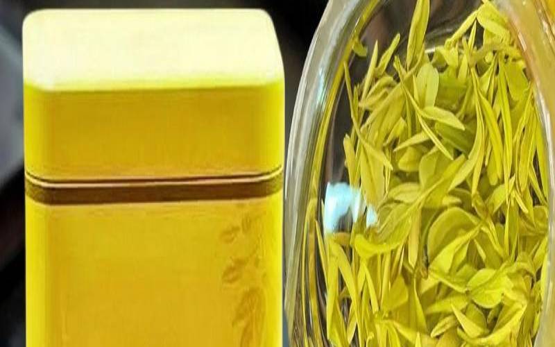 叶子又大又粗的叫什么茶叶,很细的茶叶是什么茶 叶子又大又粗的叫什么茶叶,很细的茶叶是什么茶