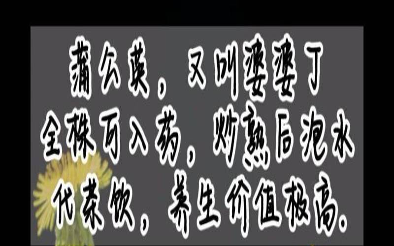 蒲公英根能泡水喝吗，蒲公英根能泡水喝吗有毒吗