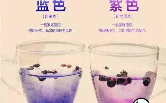 黑枸杞怎么辨别是真假,如何鉴别黑枸杞 黑枸杞怎么辨别是真假,如何鉴别黑枸杞