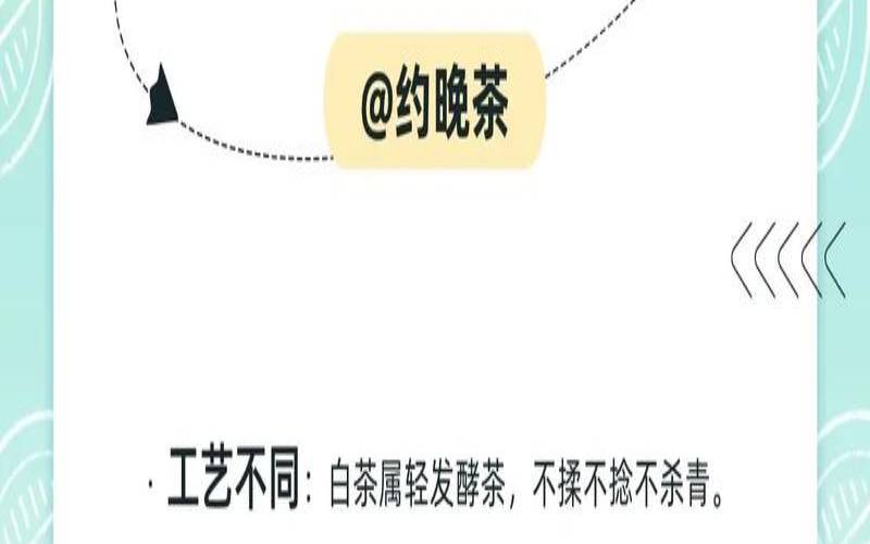 绿茶白茶有哪些品种,什么是白茶为什么叫白茶 绿茶白茶有哪些品种,什么是白茶为什么叫白茶
