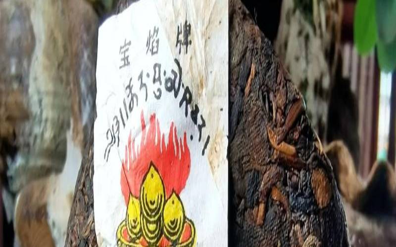 云南下关茶厂陈年普洱,下关茶厂中茶牌普洱茶 云南下关茶厂陈年普洱,下关茶厂中茶牌普洱茶