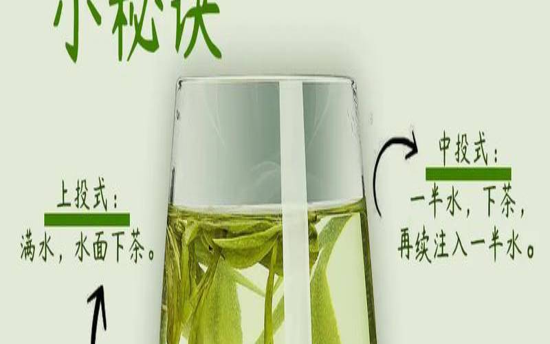 名优绿茶的冲泡方法是,绿茶三种杯泡法 名优绿茶的冲泡方法是,绿茶三种杯泡法