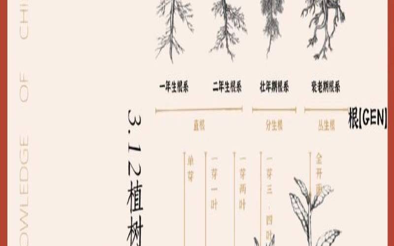 茶树的生长周期性,茶树的生长过程图片和解析 茶树的生长周期性,茶树的生长过程图片和解析