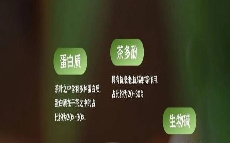 每天几杯茶有益健康,一次性杯子茶叶放多少合适 每天几杯茶有益健康,一次性杯子茶叶放多少合适