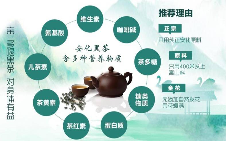 黑茶的作用适合什么人喝,黑茶功效和作用有哪些呢