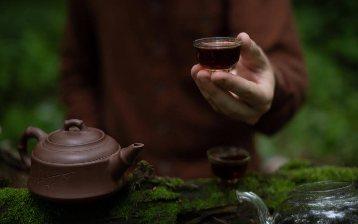 心脏支架吃药期间能喝茶吗,吃药时可以喝茶叶水吗