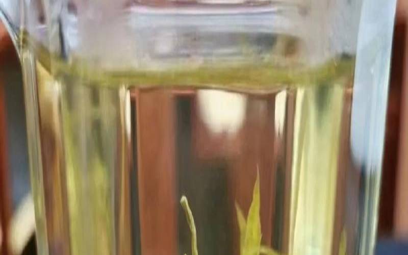 降血压血脂的茶叶,喝什么茶降血压降血脂 降血压血脂的茶叶,喝什么茶降血压降血脂