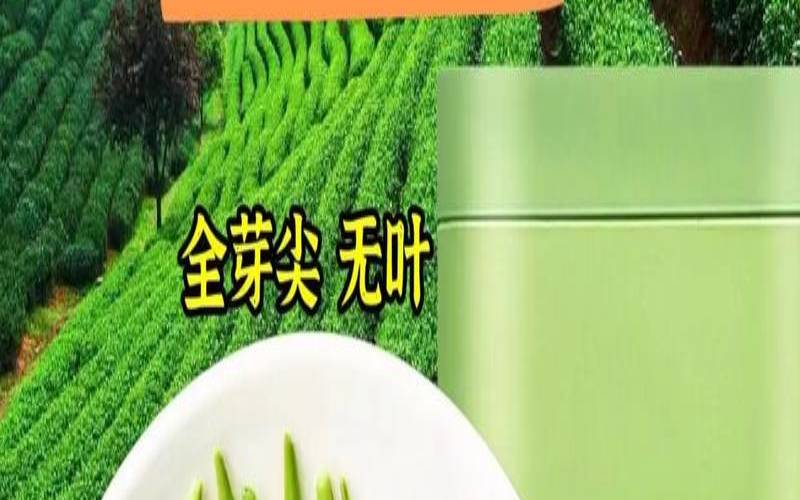 茶叶牙尖是什么茶,熟普洱大叶和芽头哪个好