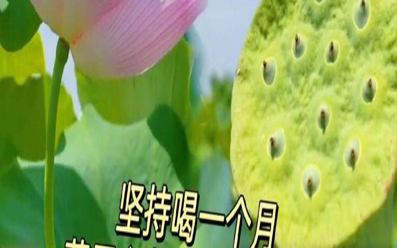 我想要喝什么茶叶对心脏好,喝什么茶对心脏好处最大