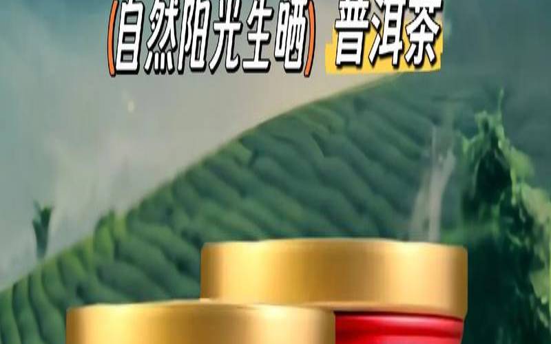 小青柑普洱茶一般价格多少,小青柑普洱茶怎么泡