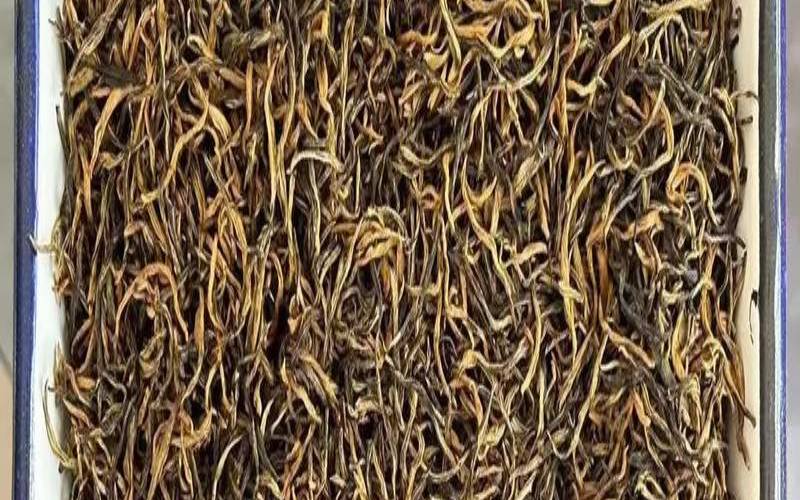 金骏眉为什么泡了有泡沫,金骏眉茶发霉的特征