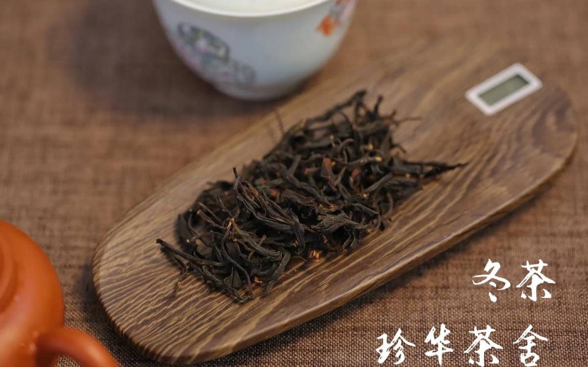 什么是冬茶，什么是冬茶叶