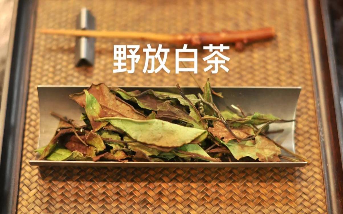 野放普洱茶饼(野放茶是白茶吗)，野放型普洱茶